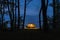 Yellow camper van parked in the forest at night. Camping in the wild nature