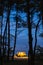 Yellow camper van parked in the forest at night. Camping in the wild nature