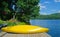 Yellow canoe on dock beside lake in summer time