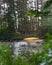 Yellow Canoe on Lake Shore Forest Adventure