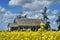 Yellow Canola Field and Run Down Farmhouse