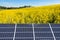 Yellow canola field and solar panels, concept of clean energy