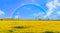 Yellow canola fields with beautiful panoramic view under rainbow near Sakarya River, Polatli, Ankara