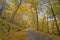 Yellow Canopy for a Rural Road