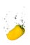 Yellow capsicum in water with air bubbles