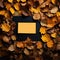 Yellow card surrounded by autumn leaves on a black background stock fotos e imagens de alta calidad en el mercado libre para usar