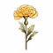 Yellow Carnation Flower Illustration On White Background