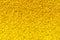 Yellow carpet texture