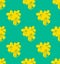 Yellow Cassia Fistula - Golden Shower Flower on Green Teal Background. Vector Illustration