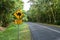 Yellow Cassowary Bird warning sign in Australia