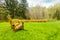 Yellow chairs with giraffe spots