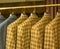 Yellow Checkered Suits on Rack