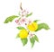 Yellow cherry plum branch - fruits, flowers. Watercolor picture