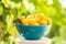 Yellow cherry plums with water drops in blue bowl