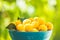 Yellow cherry plums with water drops in blue bowl