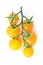 Yellow cherry tomatoes twig on white