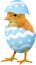 Yellow chick coming from a broken colourful painted Easter egg isolated on white transparent background PNG