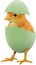 Yellow chick coming from a broken colourful painted Easter egg isolated on white transparent background PNG