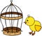 Yellow chick and golden bird cage