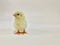 Yellow chick stands upright, facing to the left isolated on white background