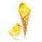 Yellow chicken and chicken in waffle cone, watercolor