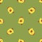 Yellow chicks seamles pattern