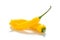 Yellow Chilli Pepper isolated on white background