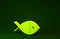 Yellow Christian fish symbol icon isolated on green background. Jesus fish symbol. Minimalism concept. 3d illustration