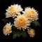 Yellow Chrysanthemum Flowers On Black Background: Chinese Iconography And Realistic Sculptures