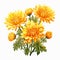 Yellow Chrysanthemum Leaves And Flowers Clipart - Watercolor Vector Design