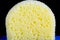 Yellow circular sponge
