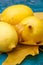 Yellow citric still-life