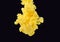 Yellow cloud swirling in liquid, isolated on black background, close up view. Drop of paint dissolving into water