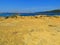 The Yellow coast in front of the Sea in Lopar in Rab Island Croatia