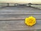 Yellow cochlospermum regium flower blooming on a wooden bridge that stretches into the sea behind the island