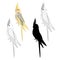 Yellow cockatiel cute tropical bird funny parrot watercolor style silhouette of the outline on a white background vintage vector