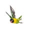 Yellow-collared lovebird flying, isolated