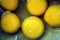 Yellow colored semi liquid round shaped egg yolk close display.