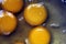 Yellow colored semi liquid round shaped egg yolk close display.