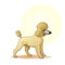 Yellow coloured puppy dog amazing vector illustration. Cute cartoon dogs vector puppy pet characters breads doggy illustration