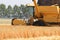 A yellow combine harvester closeup is harvesting golden wheat in summer