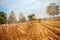 A yellow combine harvests wheat on a field