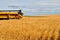 Yellow Combine in a Wheat Field