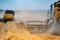 Yellow combines harvest wheat. Field with straw and dust from combine mowers.