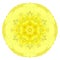 Yellow Concentric Carnation Flower Isolated on White. Mandala Design