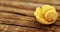 Yellow conchiglie pasta on wooden table