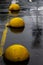 Yellow concrete hemispheres on wet asphalt.