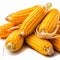 Yellow Corn Cobs on white back ground