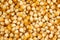 Yellow corn grain background