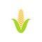 Yellow corn. Icon